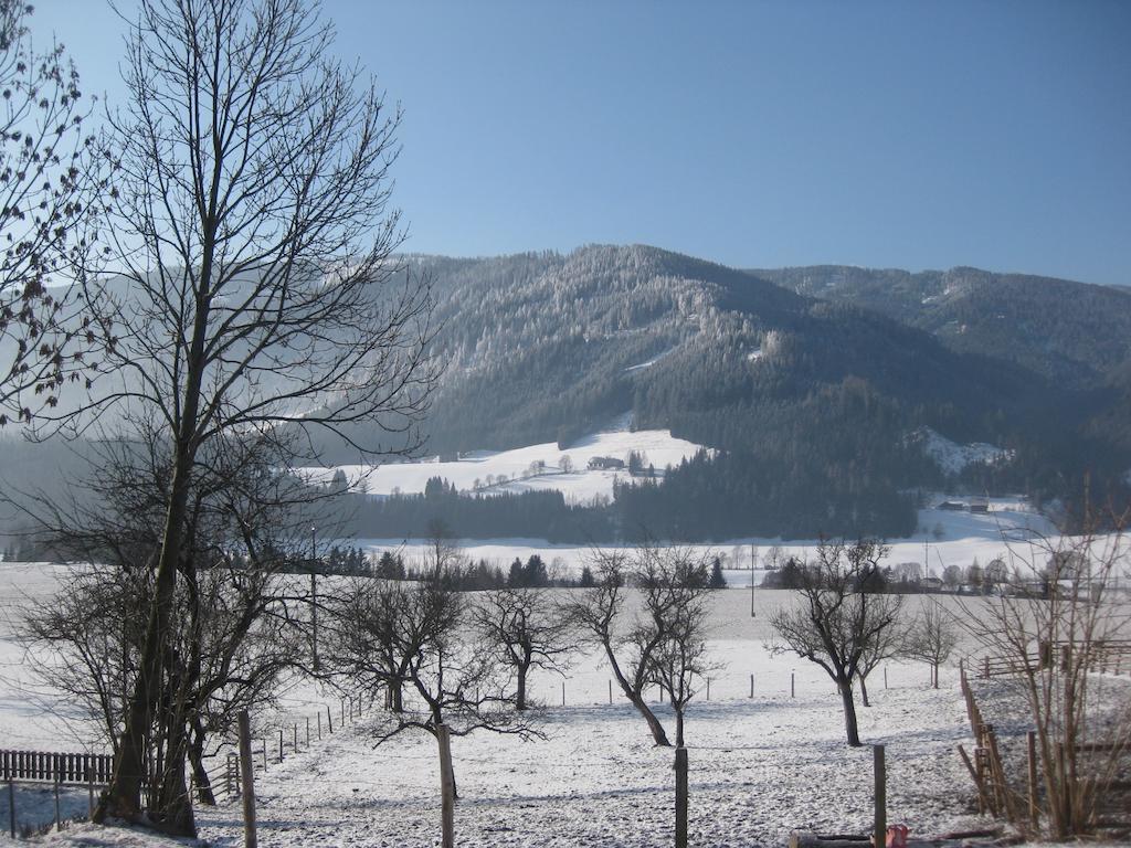 Bauernhof Unterkrug Appartement Gnesau Buitenkant foto